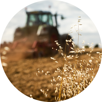 Agricultural tires on tractor